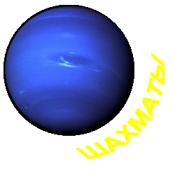 Шахматы